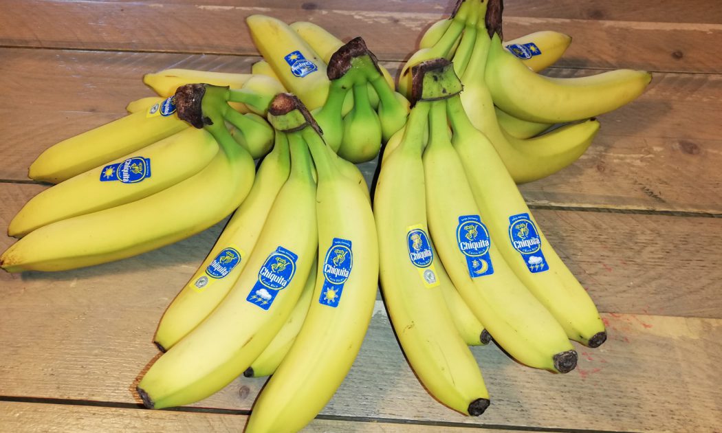 Chiquita Bananen Vreike Hof